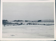1946 photo horses for sale  Germantown