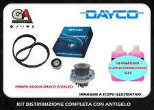 Kit distribuzione pompa usato  Valva