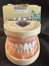 Dental typodont kilgore for sale  Miami Beach