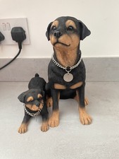 Leonardo collection rottweiler for sale  BUXTON