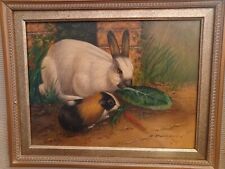 Original rabbit oil for sale  Berea