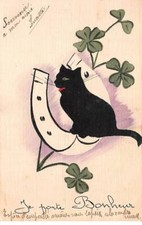 Animaux 86691 chats d'occasion  France