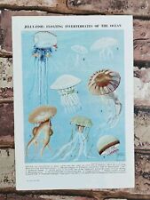 Vintage 1950s jellyfish for sale  BASINGSTOKE