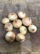 White potato onions for sale  AYR