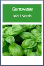 Genovese basil seeds for sale  Minneapolis