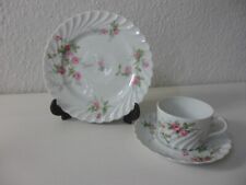 Haviland limoges decor gebraucht kaufen  Wunstorf