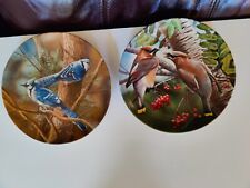 Collector bird plates for sale  Youngstown