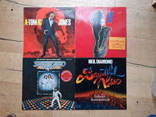 Lps schallplatten sammlung gebraucht kaufen  Dorshm., Guldental, Windeshm.