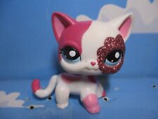 Petshop chat europeen d'occasion  Bailleul