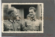 L433 foto wehrmacht gebraucht kaufen  Wolfen