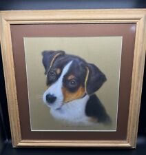 Jack russell terrier for sale  SUDBURY