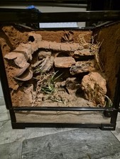 Habistat glass vivarium for sale  DERBY