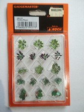 Garden plants flowers for sale  DURHAM