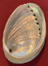 Iridescent abalone seashell for sale  NOTTINGHAM