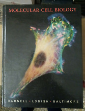 Molecular cell biology usato  Roma