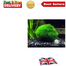 Natural moss balls for sale  LONDON
