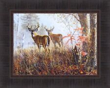 Double vision jim for sale  Onamia