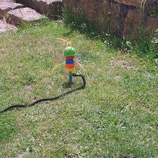 Wasser spielzeug kinder gebraucht kaufen  Viereth-Trunstadt