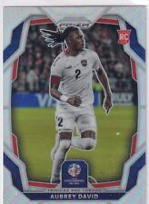 Panini 2024 copa gebraucht kaufen  Nußloch
