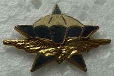 Pin militaire 1 d'occasion Pin militaire 1 d'occasion  Changé