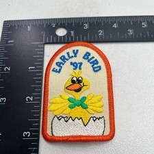 Chick coming cracked for sale  Wichita