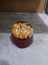 Lucite seashells paperweight for sale  DERBY