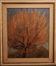 Valentino ghiglia albero usato  Viareggio