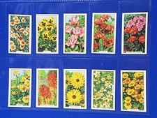 Gallaher cigarette cards for sale  DAGENHAM