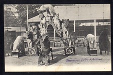 Cirque dompteur fritz d'occasion  Lanvollon