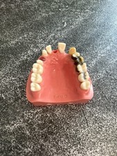 Dental training models for sale  Atlanta