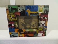 Dogs rock breed for sale  Phoenix