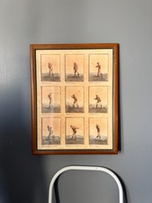 David nichols fine for sale  Lewiston