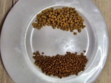 Pellets carpe expander d'occasion  Sarre-Union