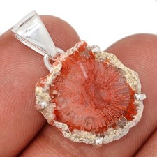 Colgantes de plata de ley 925 con rebanada de coral de cuerno rojo natural joyería CP72021 segunda mano  Embacar hacia Mexico