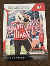 Bucky badger wisconsin for sale  Middletown