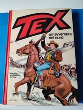 Tex cartonato avventura usato  Paderno Dugnano