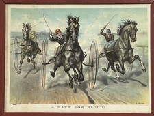 Race blood currier for sale  Meredith