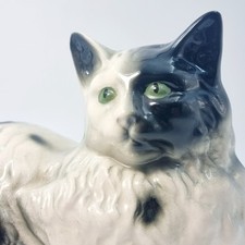 Black white cat for sale  ENFIELD