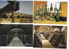 D295 werbung cavas gebraucht kaufen  Petersberg, Wettin-Löbejün