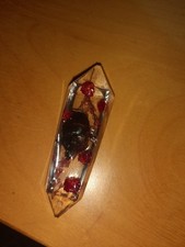 Taxidermy still born for sale  BROXBOURNE
