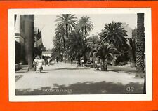 Hyeres cpsm palmiers d'occasion  Ouzouer-sur-Loire