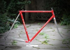 Pinarello treviso gpx gebraucht kaufen  Berlin