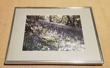 Picture inches wide for sale  Wellington