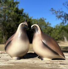 male quail 5 for sale male quail 5 for sale Copperas Cove