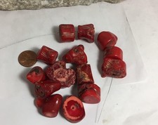 15 corals for sale 15 corals for sale La Puente