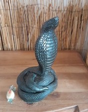 snakes for sale  LYMM