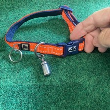 dog collar for sale dog collar for sale MAESTEG