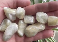Prasiolite crystal tumble for sale  SOUTHAMPTON