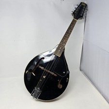 Rogue mandolin rm100a for sale  Troy