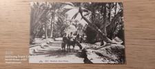 Postkarte marabout dans gebraucht kaufen  Thedinghausen